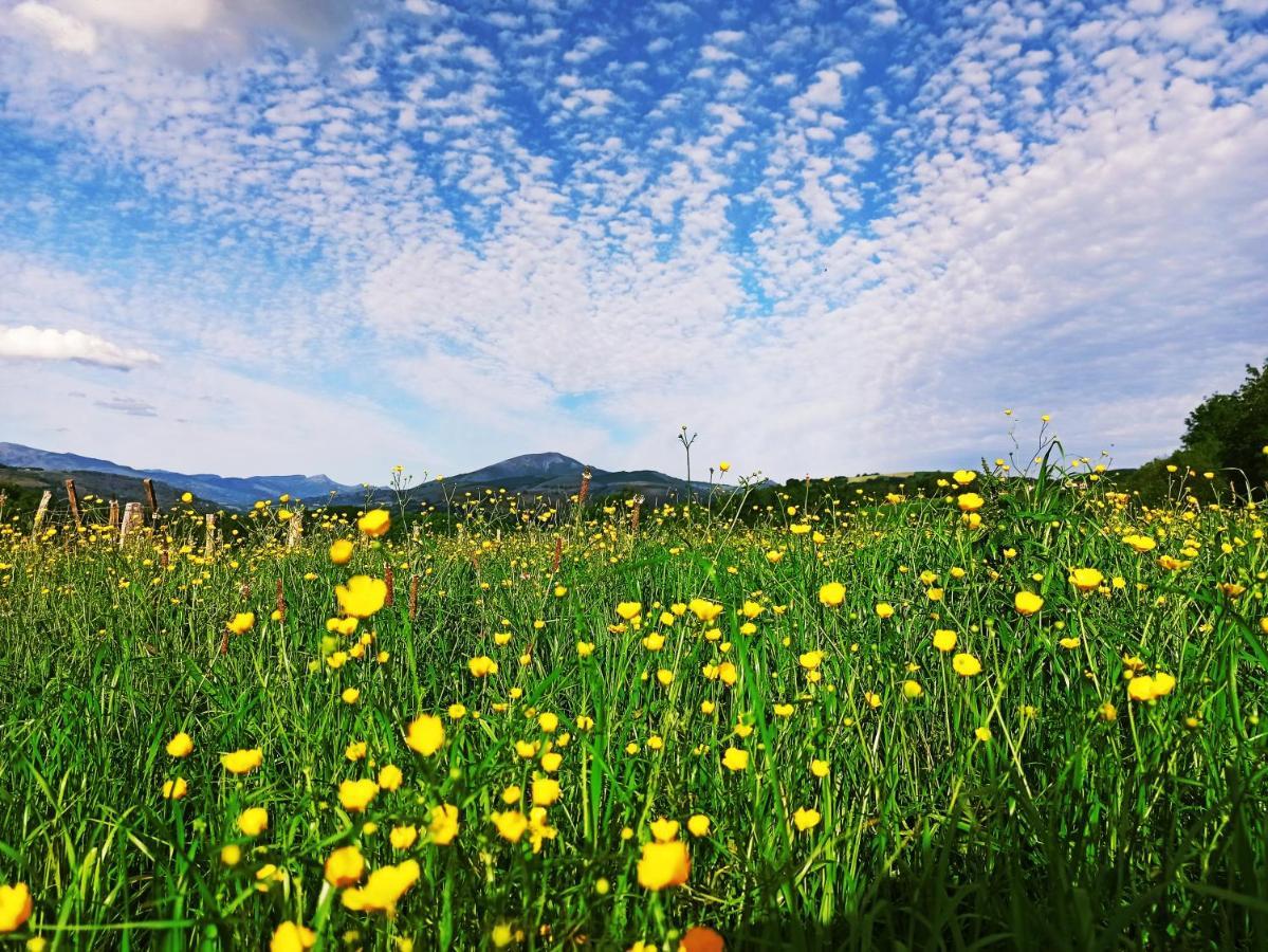 Casa Rural Aldekoa Ziga ภายนอก รูปภาพ